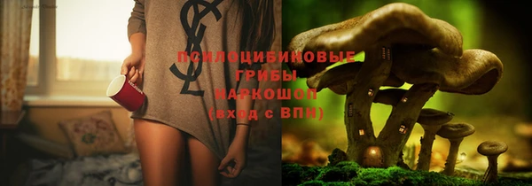 эйфоретик Алексин