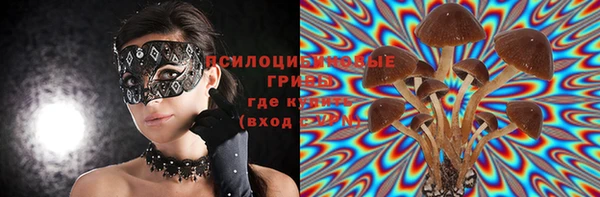 спайс Абаза